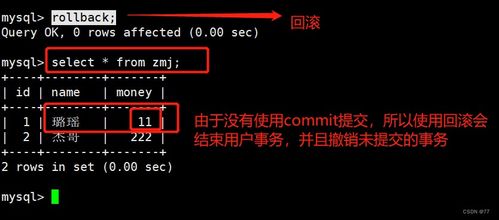深入淺出MySQL數據庫管理 事務、存儲引擎與數據處理服務